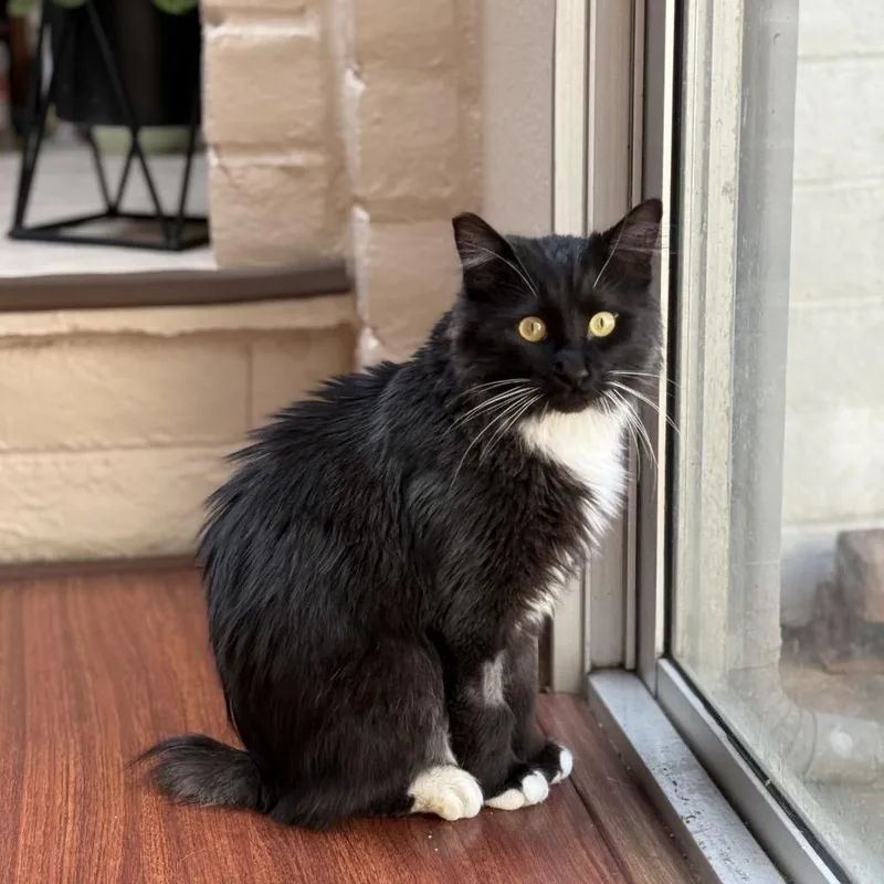 Dr. Pepper thumbnail 6