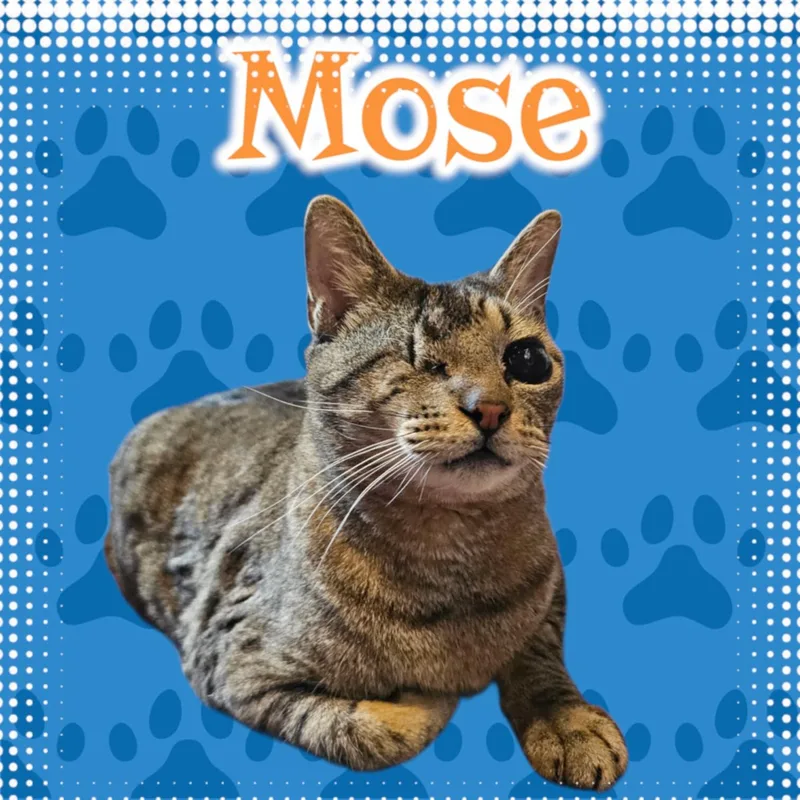Mose