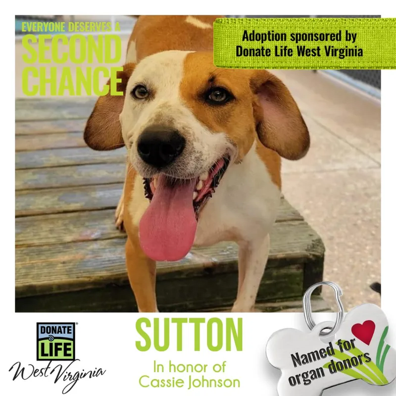 Sutton Aka Audie thumbnail 6