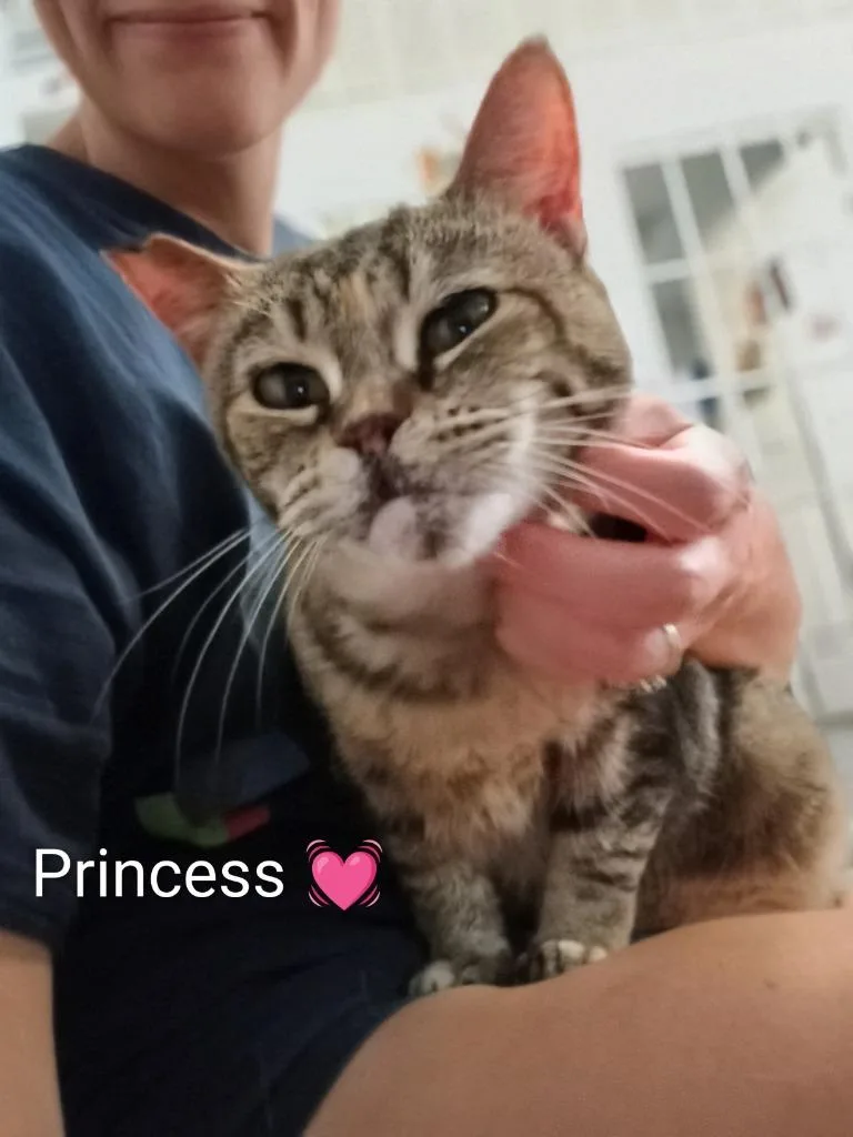 Princess thumbnail 3