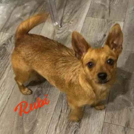 Rubi Bondedtosophie thumbnail 3