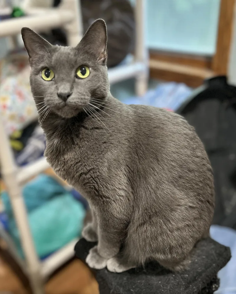 Yawney & Railee thumbnail 2