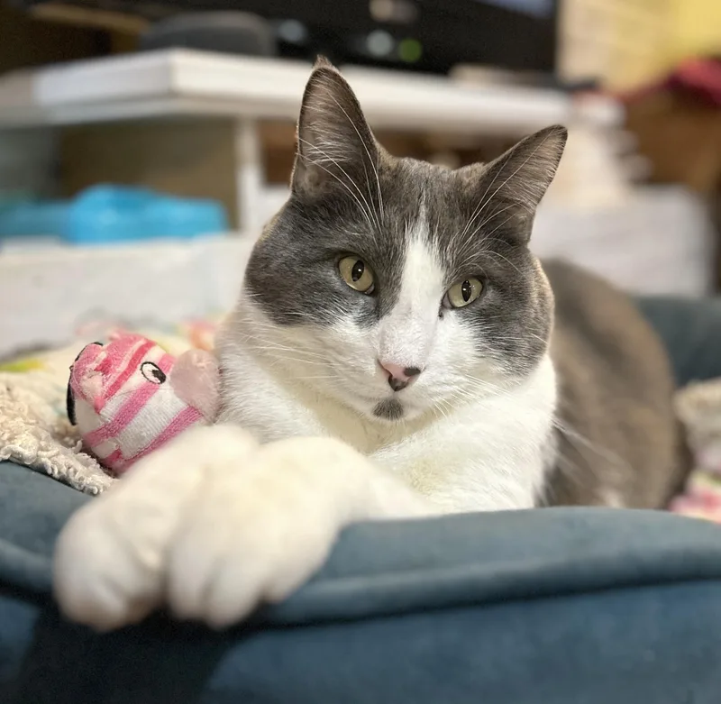 Yawney & Railee thumbnail 3