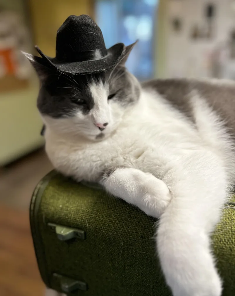 Yawney & Railee thumbnail 5