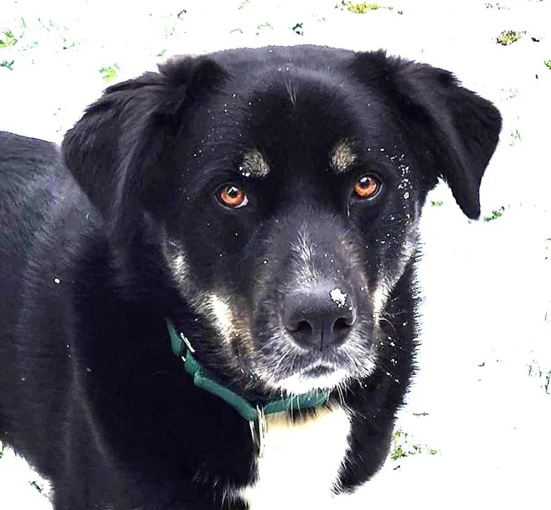 Romondo  Handsome Adventure thumbnail 3