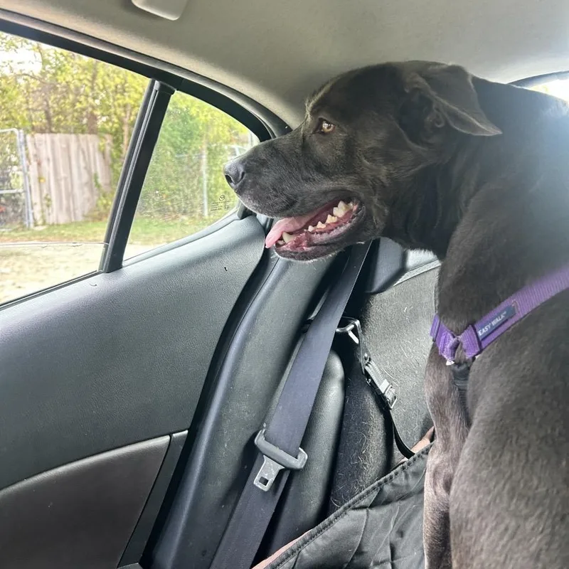 Smokey Bear thumbnail 2