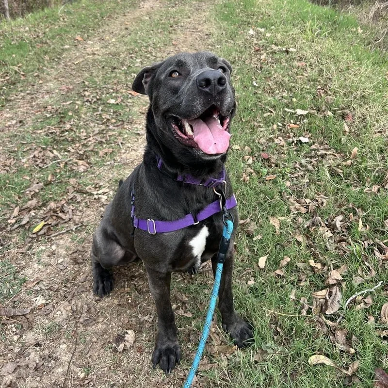 Smokey Bear thumbnail 4