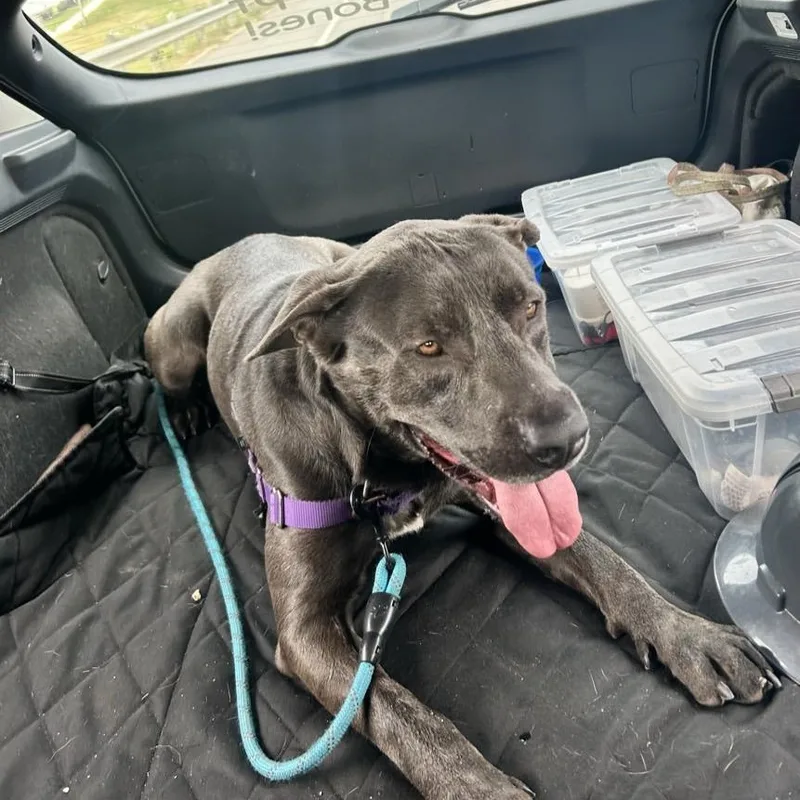 Smokey Bear thumbnail 5