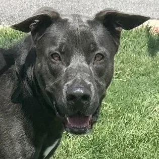 Smokey Bear thumbnail 6