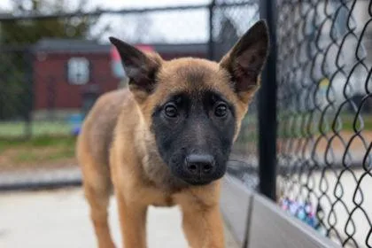 Scoobydoo thumbnail 2