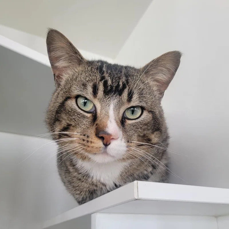 Sebastian thumbnail 2