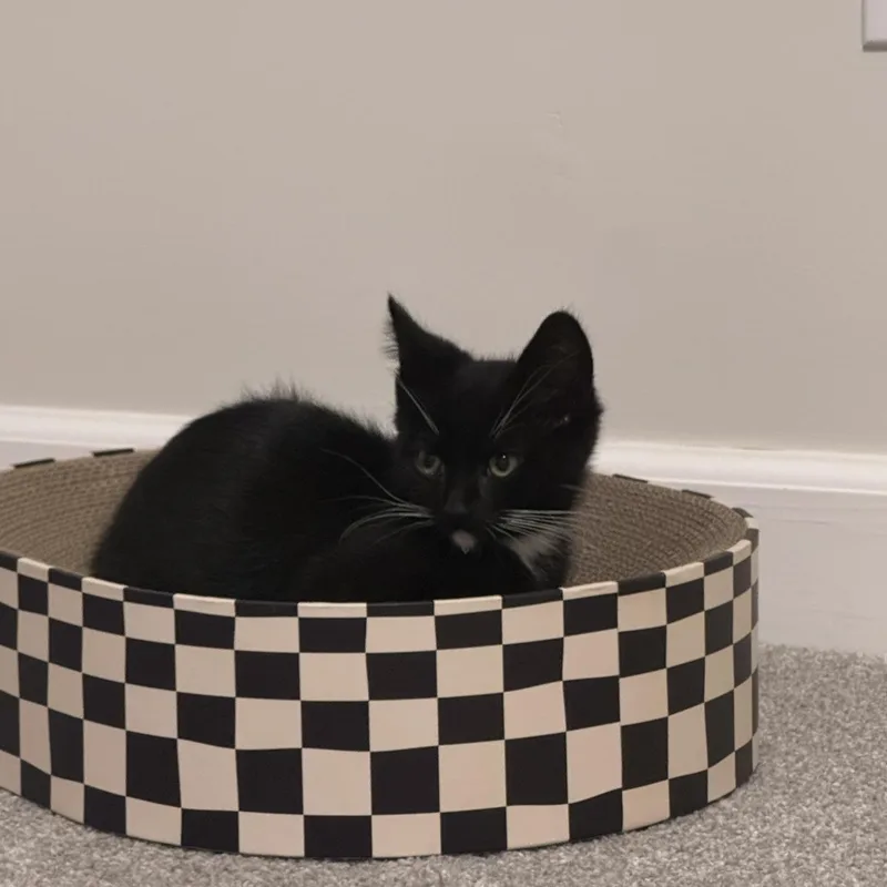 Pickles thumbnail 2