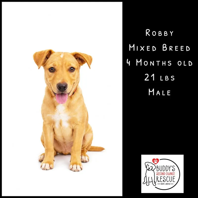 Robby