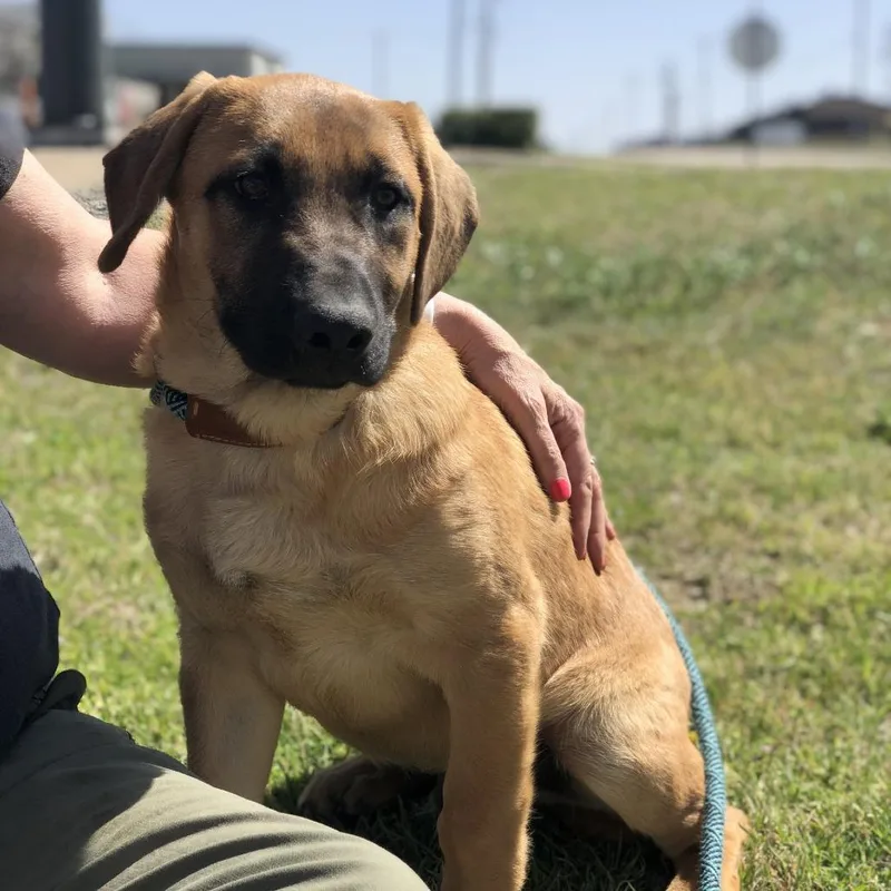 Cleosammy thumbnail 2