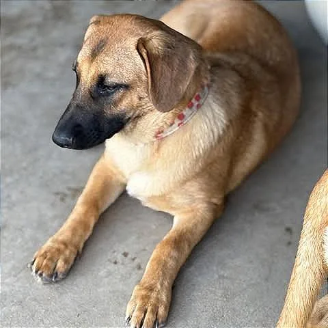 Cleosammy thumbnail 4