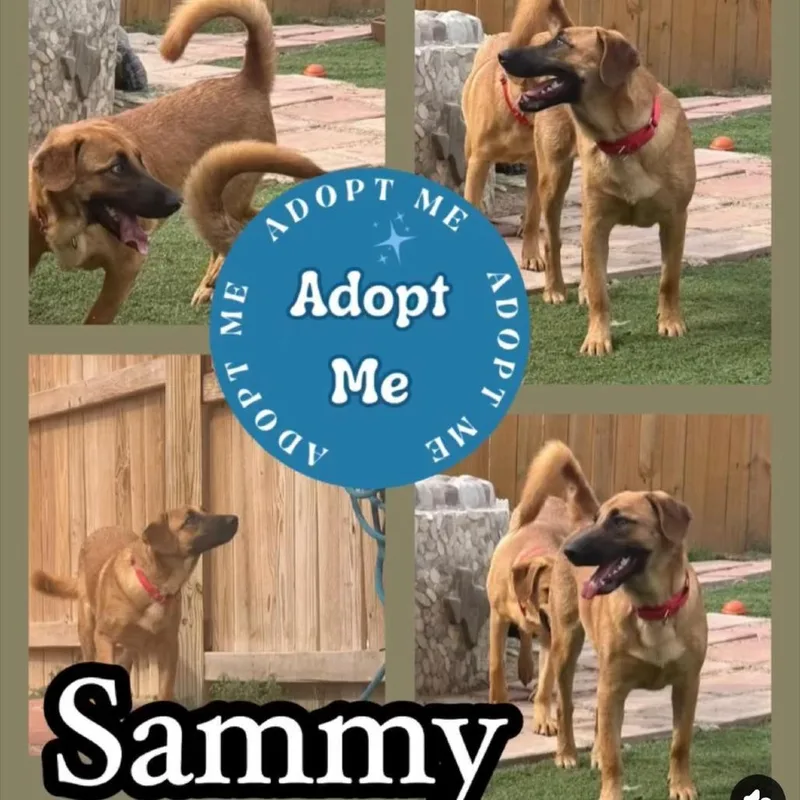 Cleosammy thumbnail 5