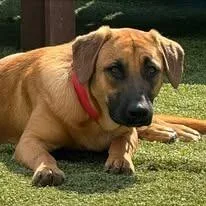 Cleosammy thumbnail 6