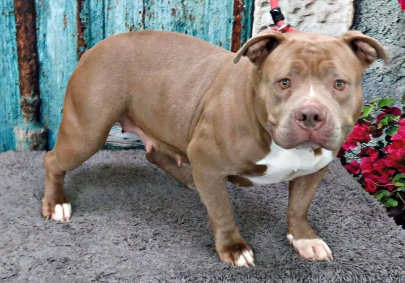 Marabella thumbnail 2