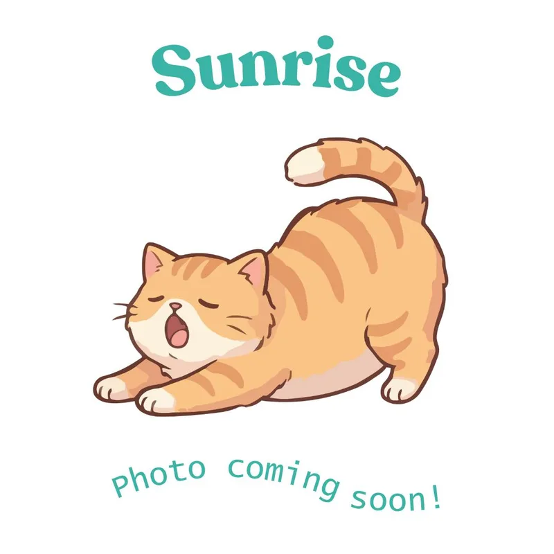 Sunrise thumbnail 2