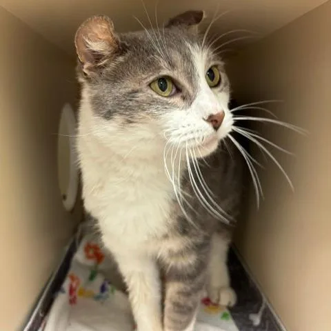 Loveable Larry thumbnail 3