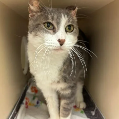 Loveable Larry thumbnail 4