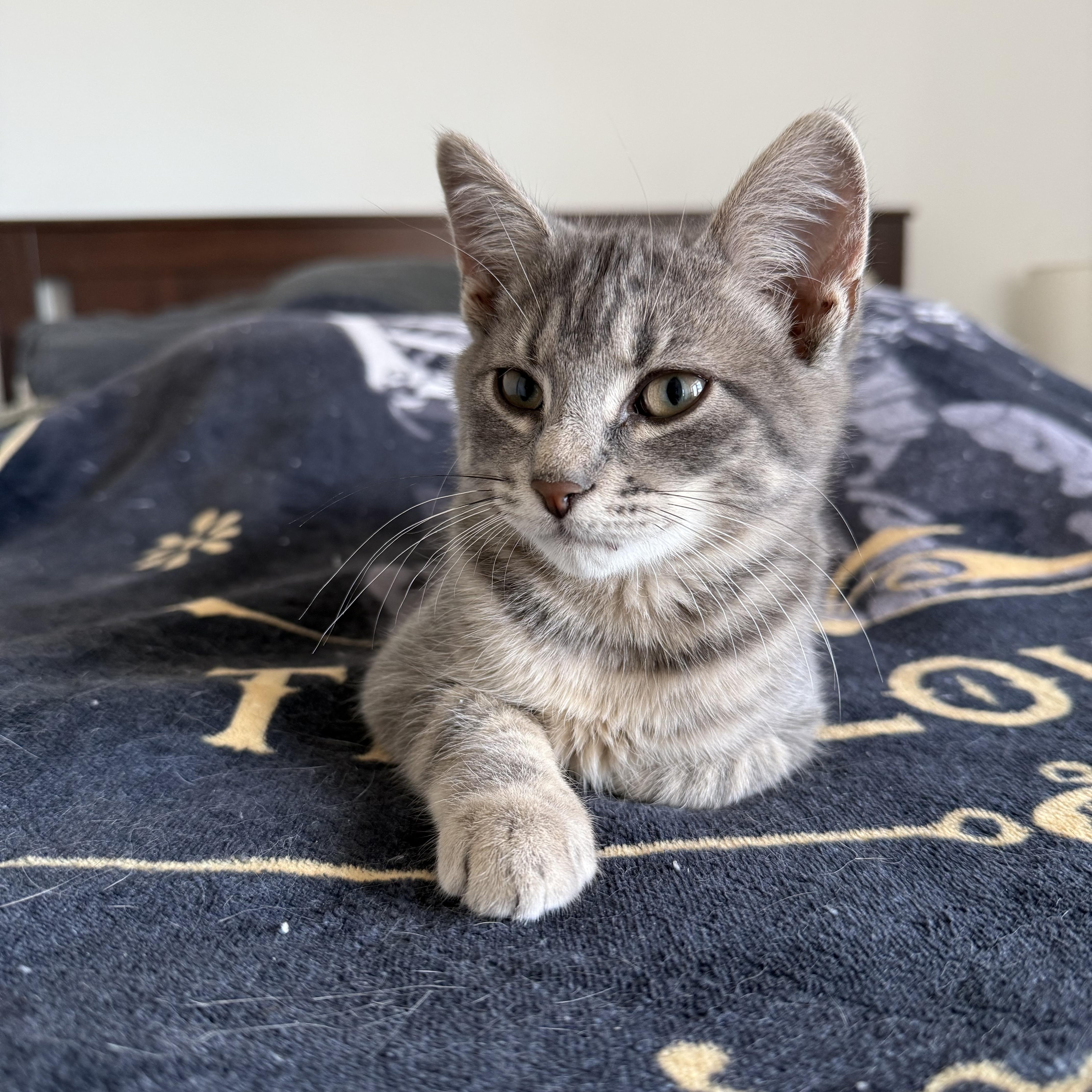 Frank and Renley thumbnail 3