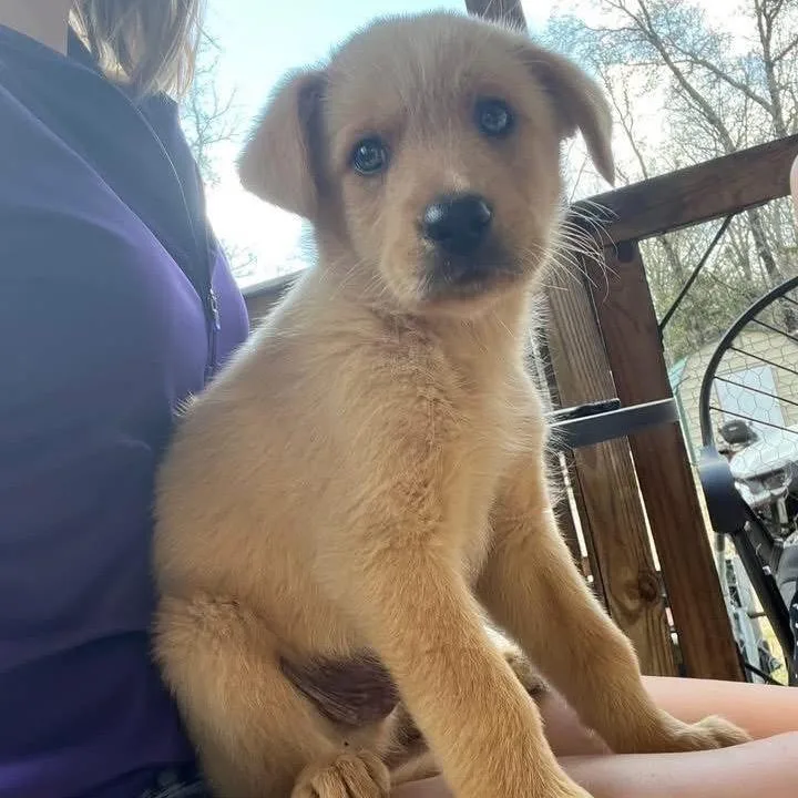 Milwaukee thumbnail 2