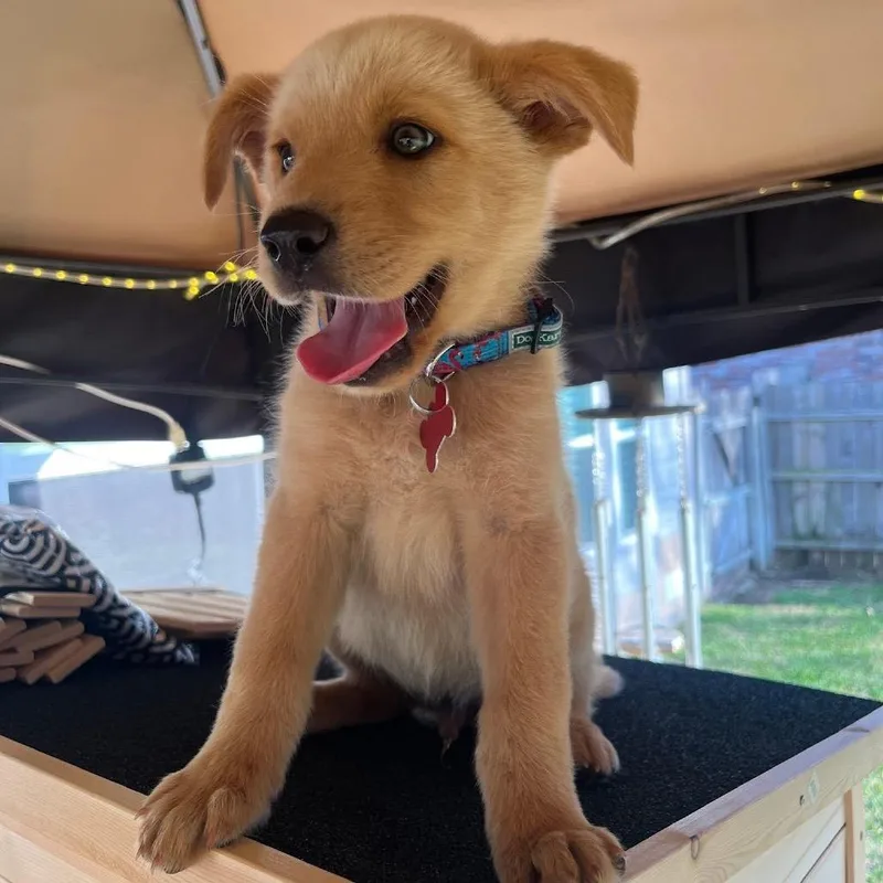 Milwaukee thumbnail 3