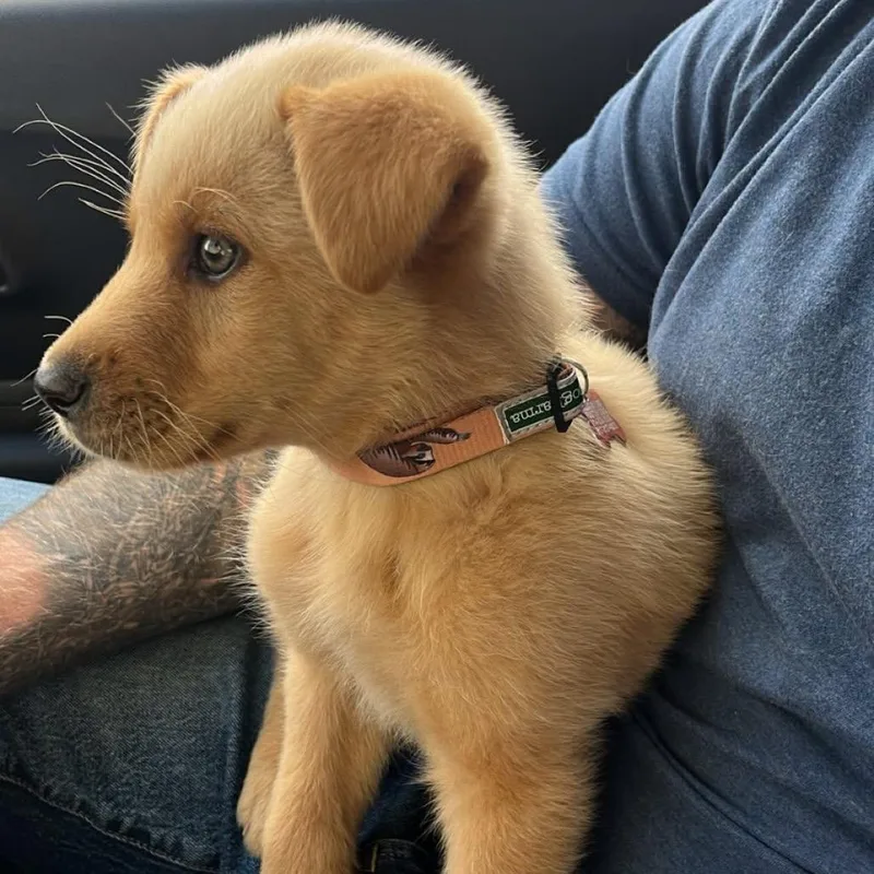 Milwaukee thumbnail 4