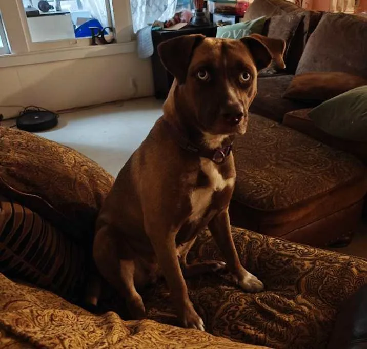 Bailey thumbnail 2