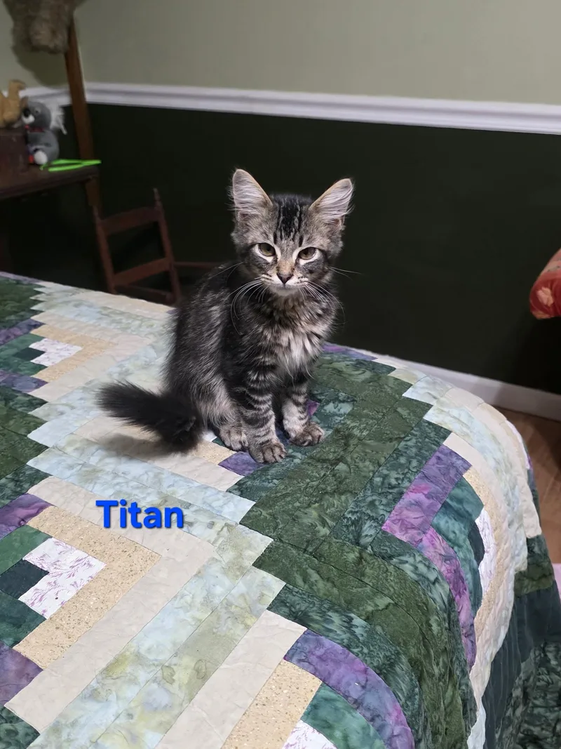 Titan
