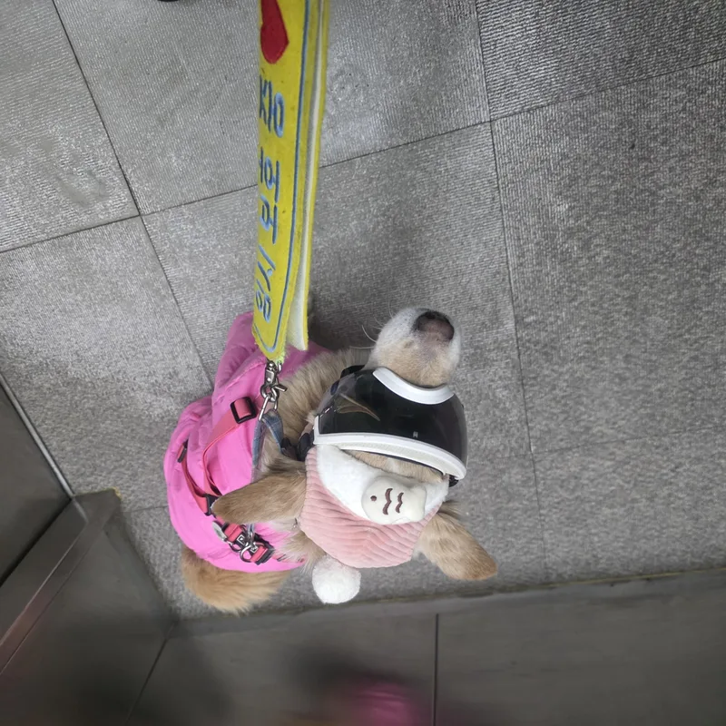 Eunbyel
