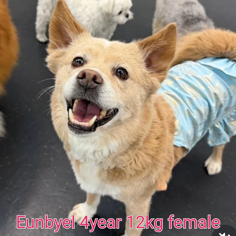 Eunbyel thumbnail 3