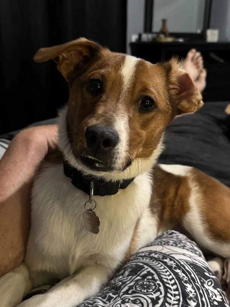 Theodore thumbnail 3