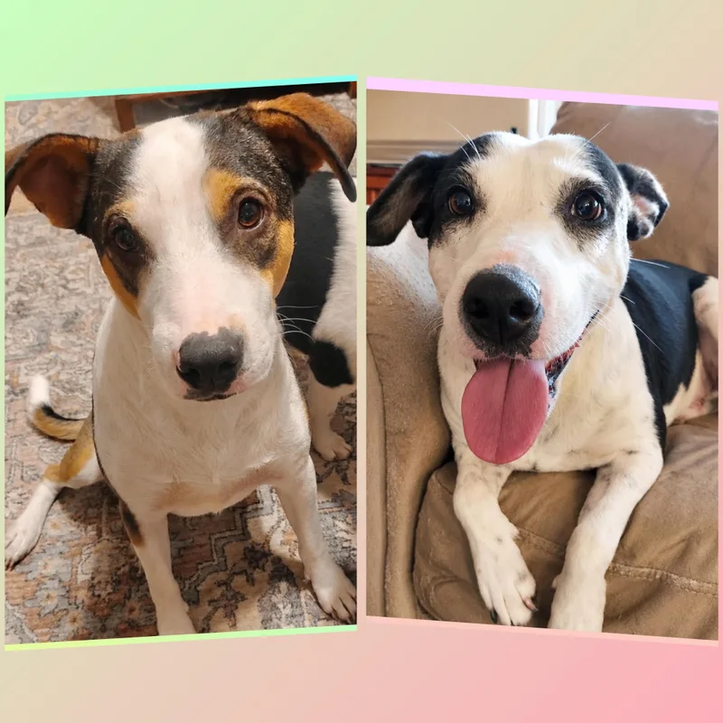 Bud and Minnie thumbnail 4