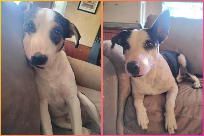 Bud and Minnie thumbnail 6