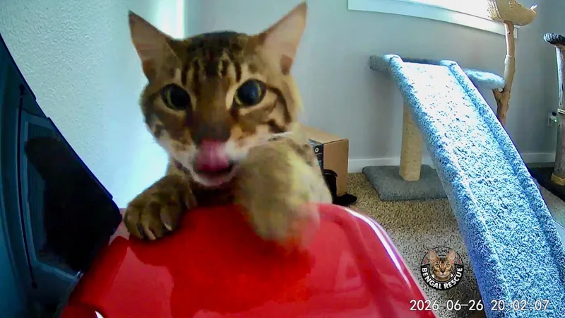 Marley thumbnail 6