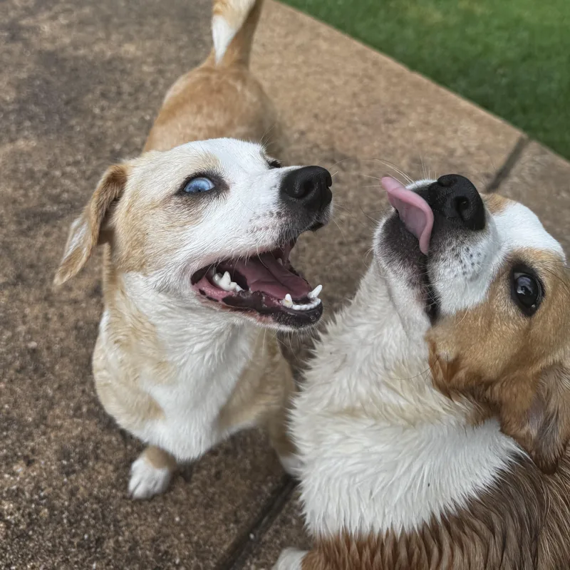 Macie and Anderson thumbnail 5