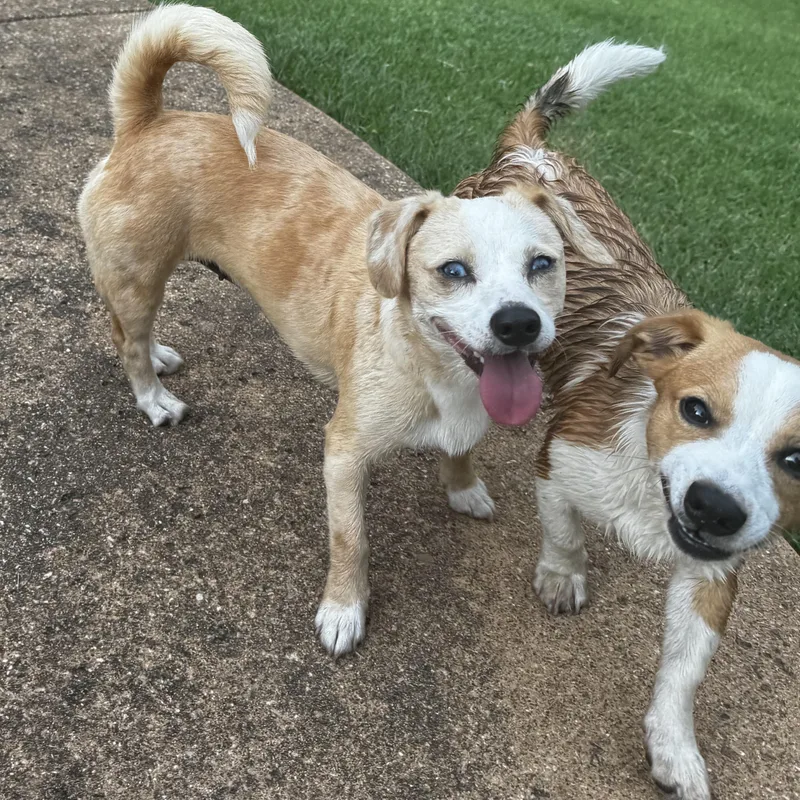 Macie and Anderson thumbnail 6