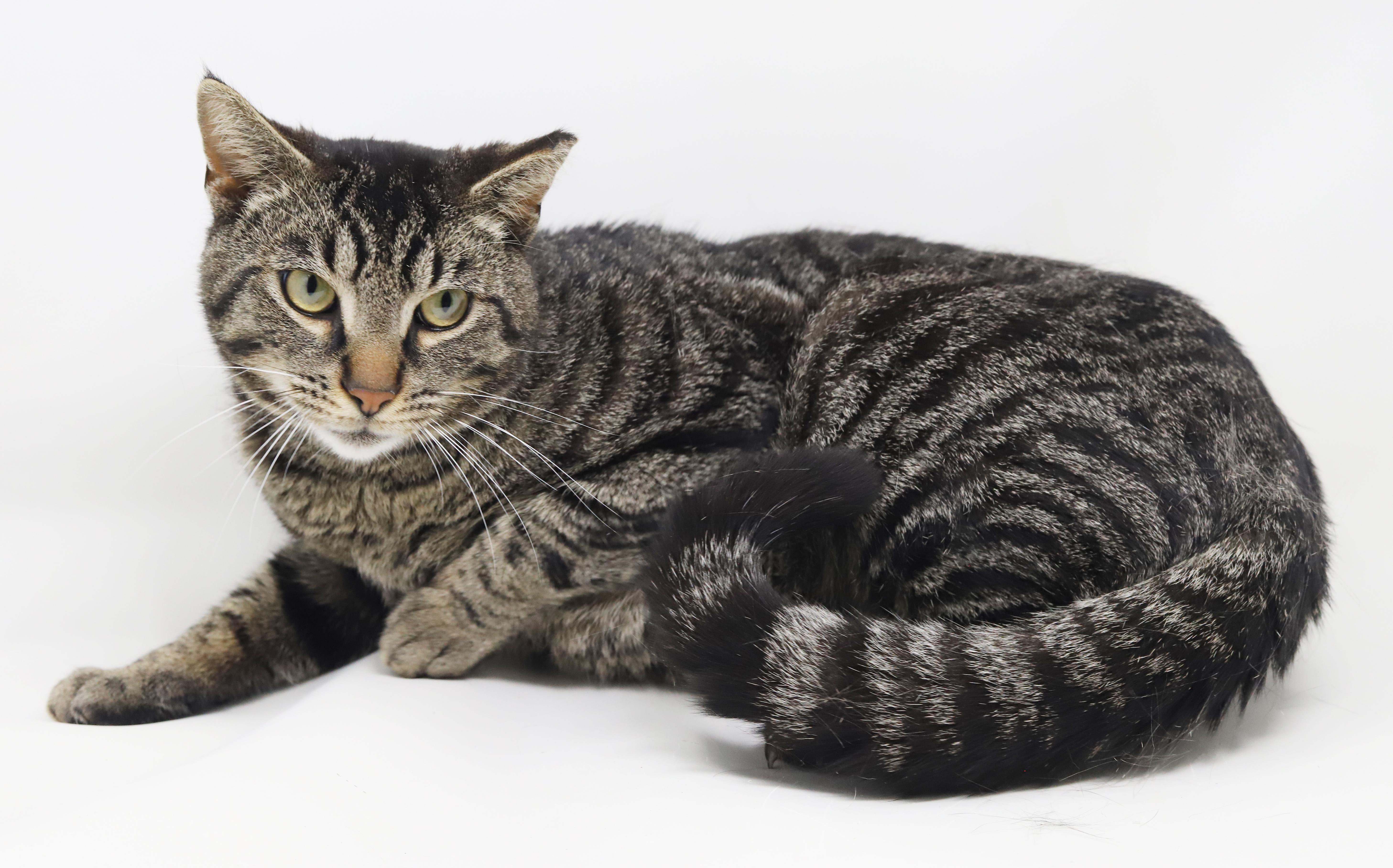 Daryl Is A Gentle thumbnail 2