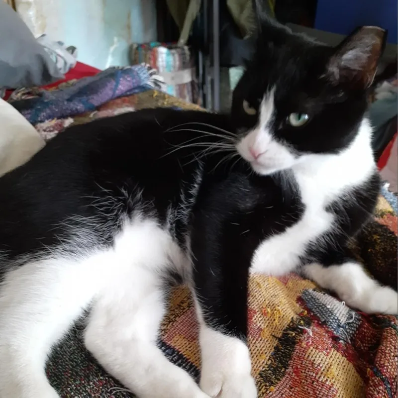 Junipurr thumbnail 6