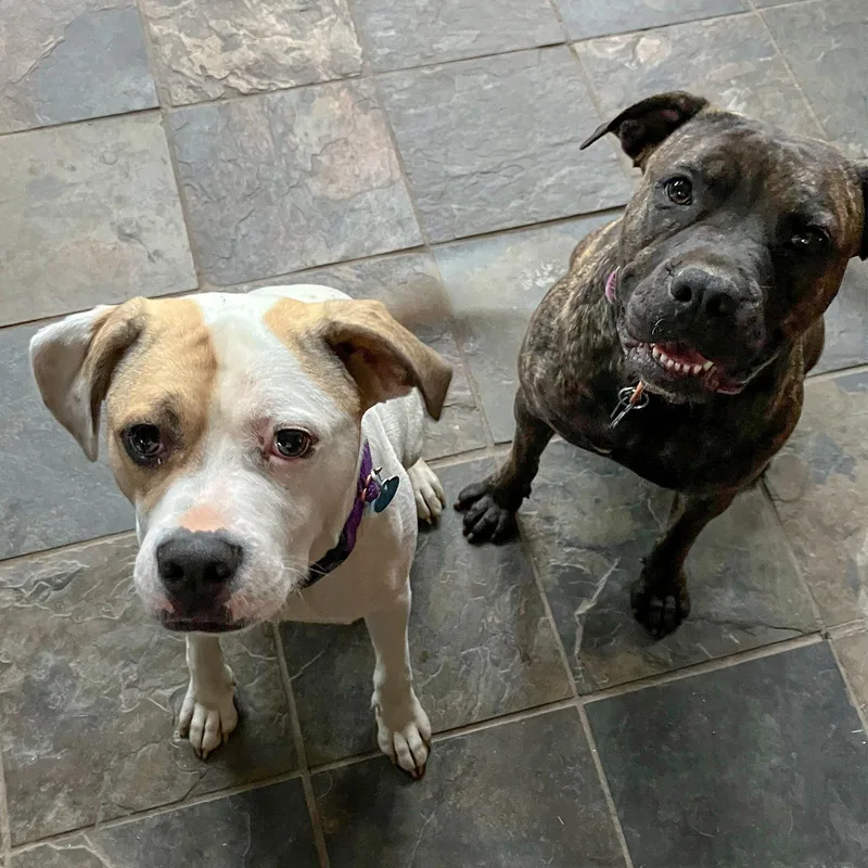 Buster thumbnail 2