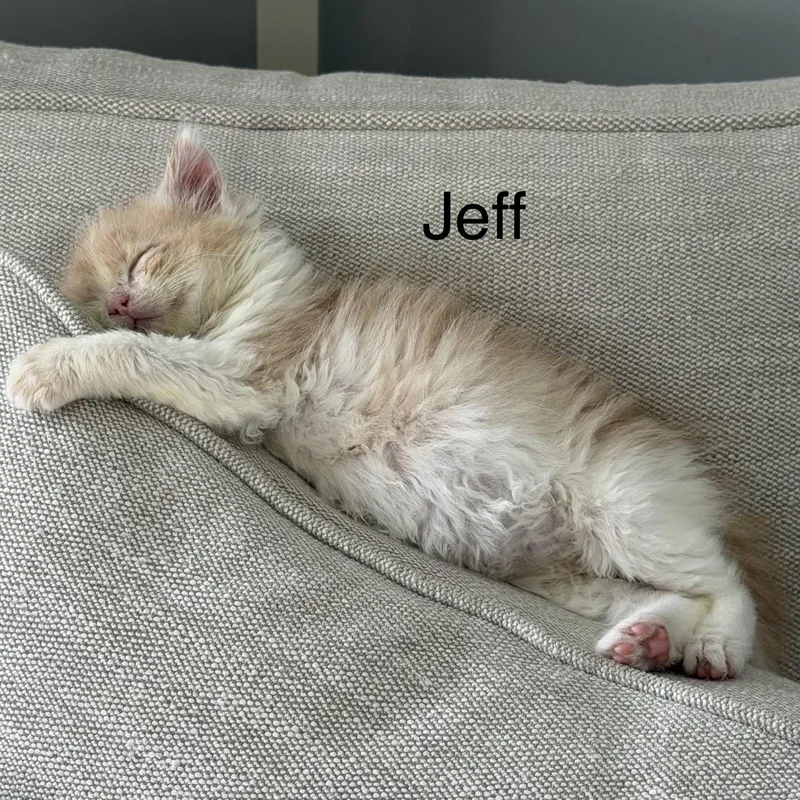 Jeff thumbnail 2