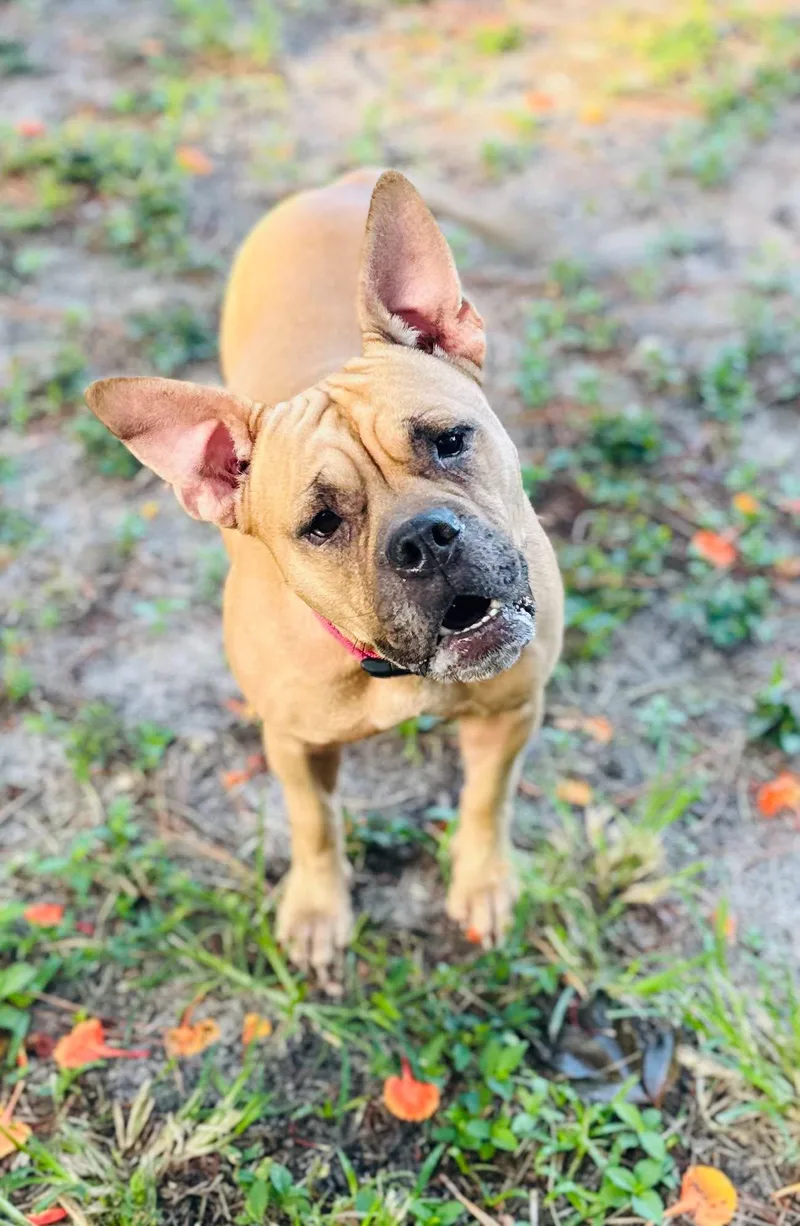 Maggie
