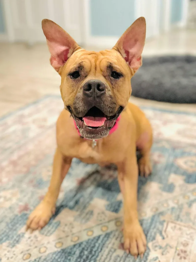 Maggie thumbnail 2