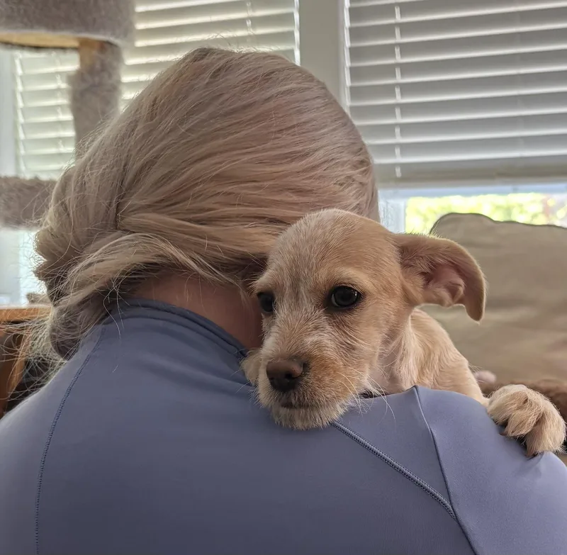 Penny The Best Puppy