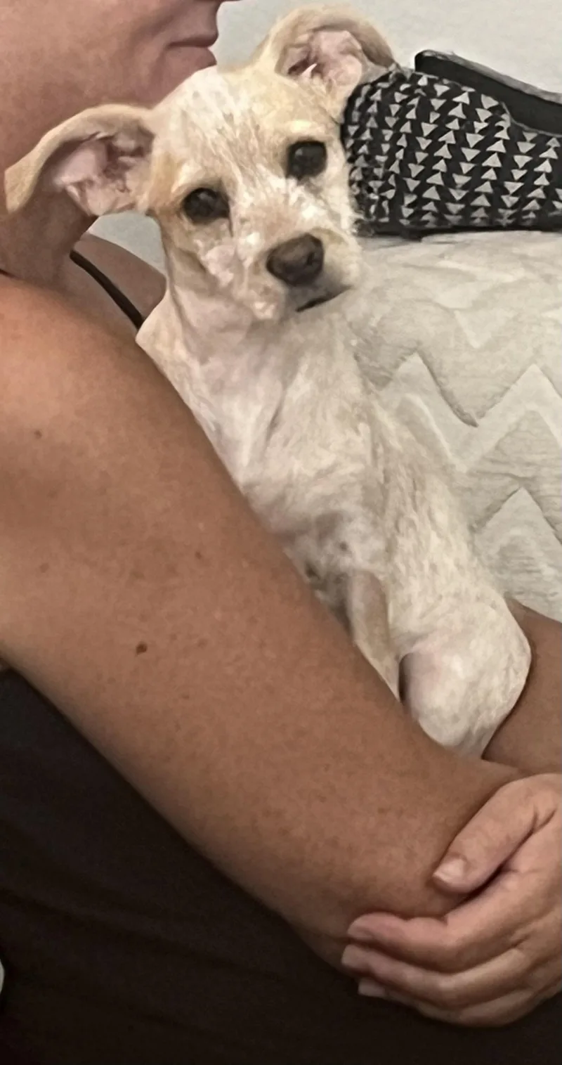 Penny The Best Puppy thumbnail 3