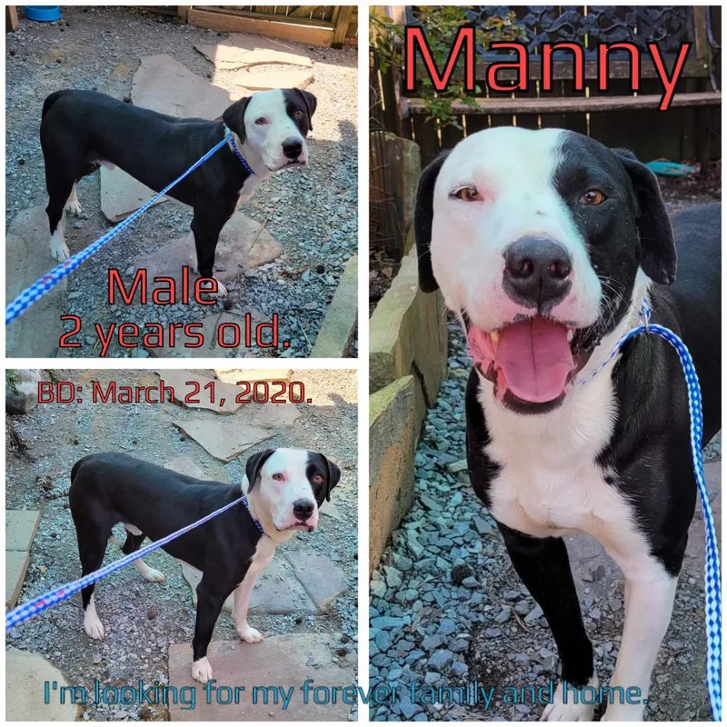 Manny