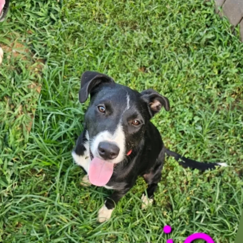 Minnie
