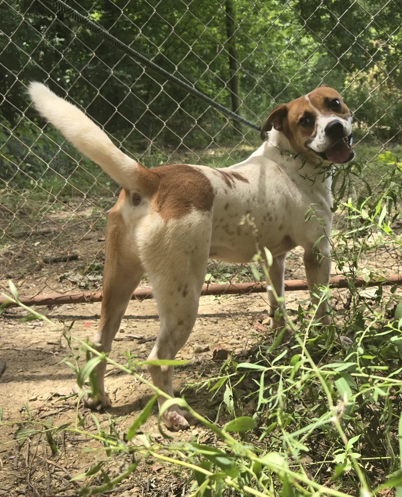 Raymond James thumbnail 2